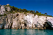 La costa cesellata di grotte create dall'erosione del calcare con anfratti; rientranze e rotture.